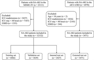 Development and Validation of Machine Learning Models for Real-Time Mortality Prediction in Critically Ill Patients With Sepsis-Associated Acute Kidney Injury